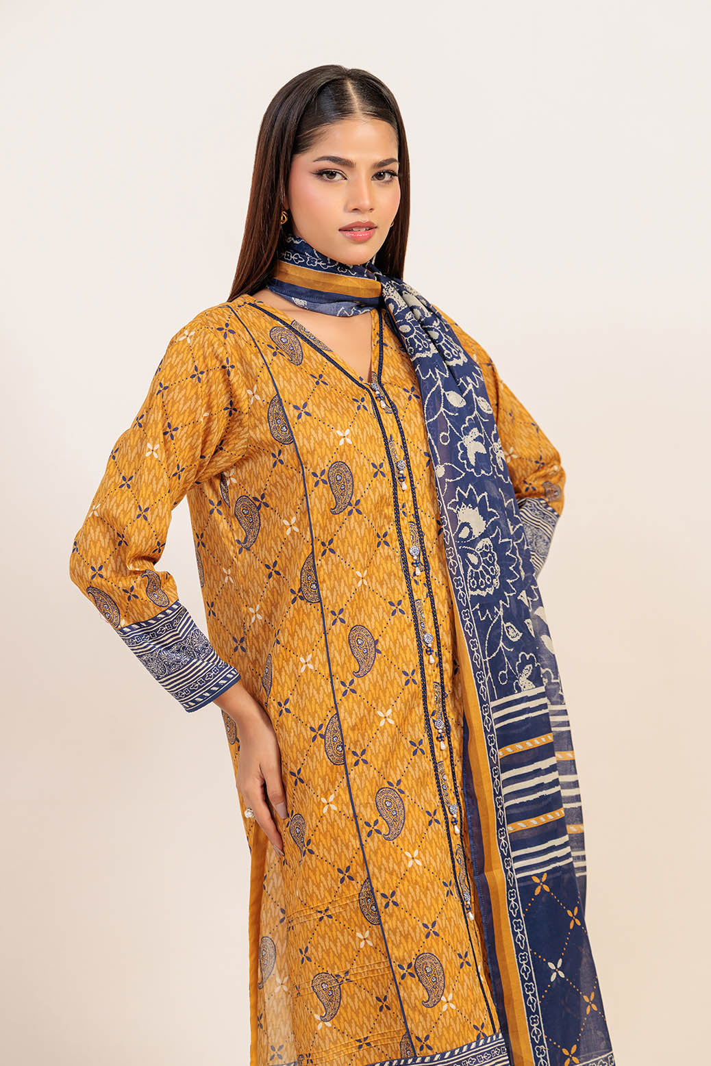 ETHNIC VOYAGE - 3 PC (2S24P3P404)