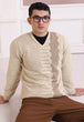 SWAN-V-NECK FULL SLEEVES SWEATER (519-15)