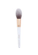 POWDER BRUSH